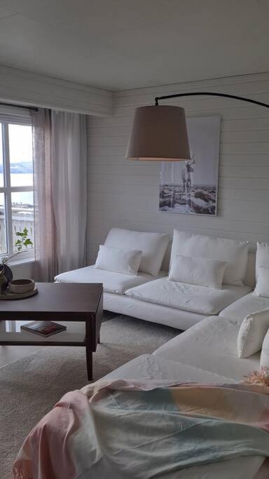 Narvik Mountain Homes Spectacular View House ภายนอก รูปภาพ